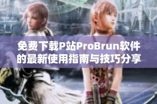 免费下载P站ProBrun软件的最新使用指南与技巧分享