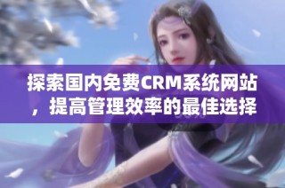 探索国内免费CRM系统网站，提高管理效率的最佳选择