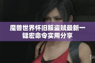 魔兽世界怀旧服盗贼最新一键宏命令实用分享