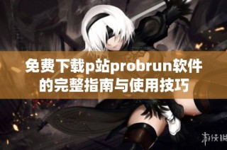 免费下载p站probrun软件的完整指南与使用技巧