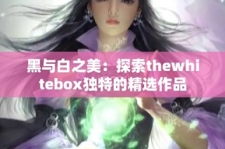 黑与白之美：探索thewhitebox独特的精选作品