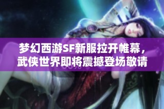 梦幻西游SF新服拉开帷幕，武侠世界即将震撼登场敬请期待