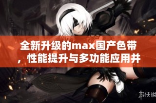 全新升级的max国产色带，性能提升与多功能应用并存