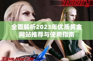 全面解析2023年优质黄金网站推荐与使用指南