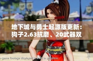 地下城与勇士起源版更新：狗子2.63抗磨、20武器双伤害攻略分享