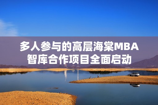 多人参与的高层海棠MBA智库合作项目全面启动