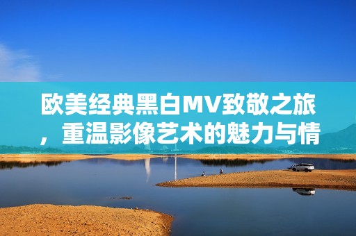 欧美经典黑白MV致敬之旅，重温影像艺术的魅力与情感