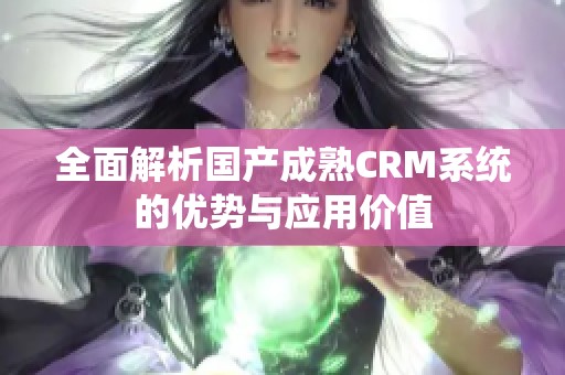 全面解析国产成熟CRM系统的优势与应用价值