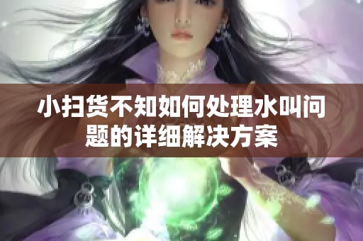 小扫货不知如何处理水叫问题的详细解决方案