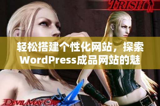 轻松搭建个性化网站，探索WordPress成品网站的魅力与优势