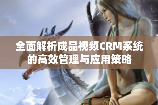 全面解析成品视频CRM系统的高效管理与应用策略