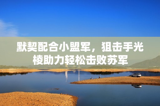 默契配合小盟军，狙击手光棱助力轻松击败苏军