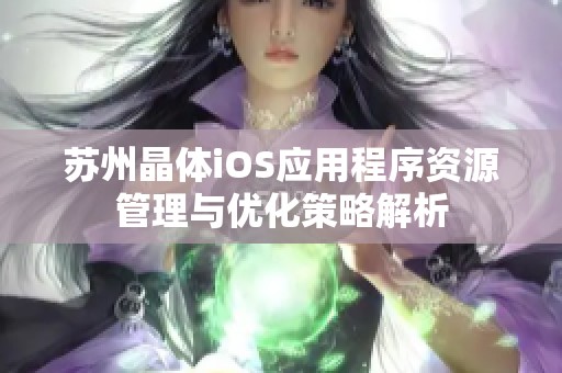 苏州晶体iOS应用程序资源管理与优化策略解析