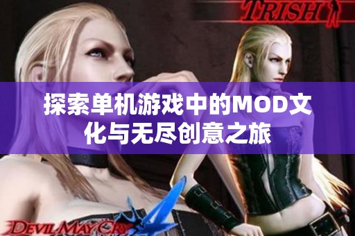 探索单机游戏中的MOD文化与无尽创意之旅