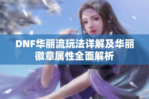 DNF华丽流玩法详解及华丽徽章属性全面解析