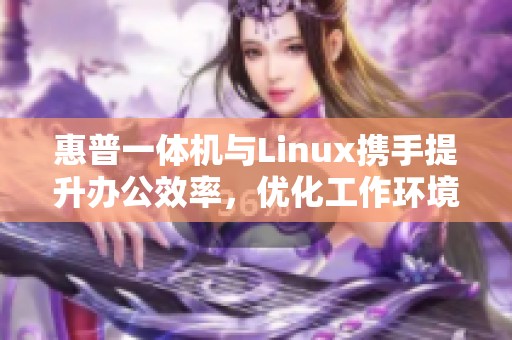 惠普一体机与Linux携手提升办公效率，优化工作环境新选择