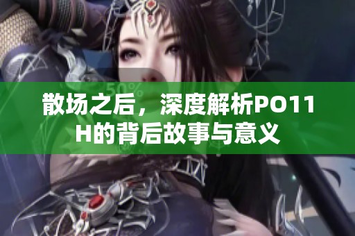 散场之后，深度解析PO11H的背后故事与意义