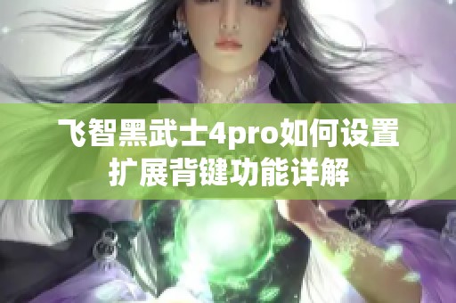 飞智黑武士4pro如何设置扩展背键功能详解