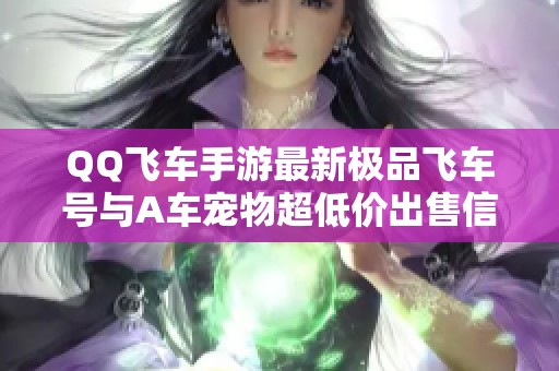 QQ飞车手游最新极品飞车号与A车宠物超低价出售信息揭秘