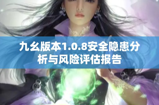 九幺版本1.0.8安全隐患分析与风险评估报告