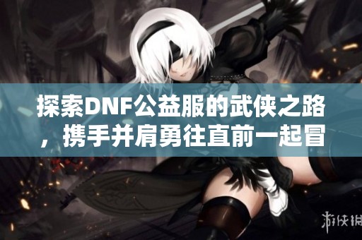 探索DNF公益服的武侠之路，携手并肩勇往直前一起冒险