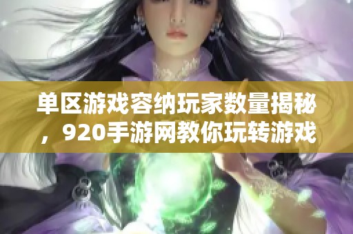 单区游戏容纳玩家数量揭秘，920手游网教你玩转游戏人气榜