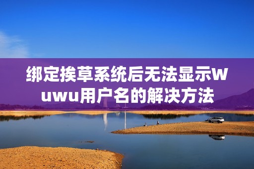 绑定挨草系统后无法显示Wuwu用户名的解决方法