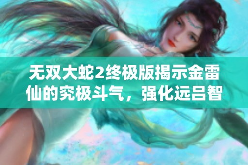 无双大蛇2终极版揭示金雷仙的究极斗气，强化远吕智的战斗力