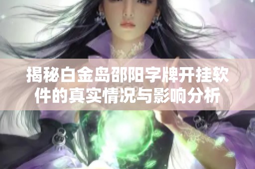 揭秘白金岛邵阳字牌开挂软件的真实情况与影响分析