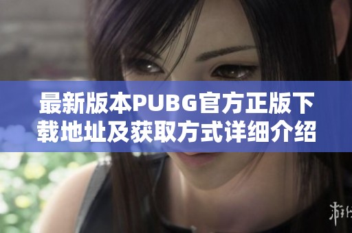 最新版本PUBG官方正版下载地址及获取方式详细介绍