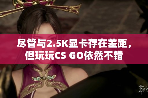 尽管与2.5K显卡存在差距，但玩玩CS GO依然不错