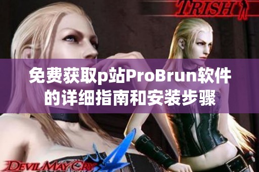 免费获取p站ProBrun软件的详细指南和安装步骤