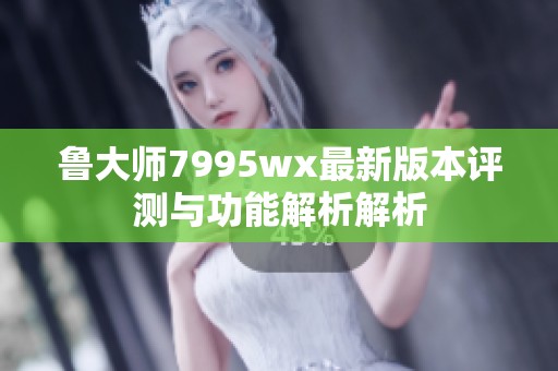 鲁大师7995wx最新版本评测与功能解析解析