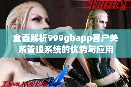 全面解析999gbapp客户关系管理系统的优势与应用