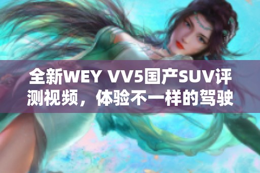 全新WEY VV5国产SUV评测视频，体验不一样的驾驶乐趣