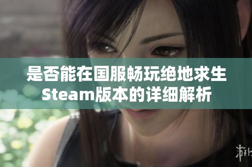 是否能在国服畅玩绝地求生Steam版本的详细解析