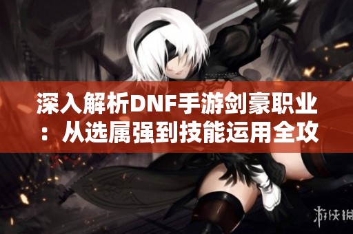 深入解析DNF手游剑豪职业：从选属强到技能运用全攻略