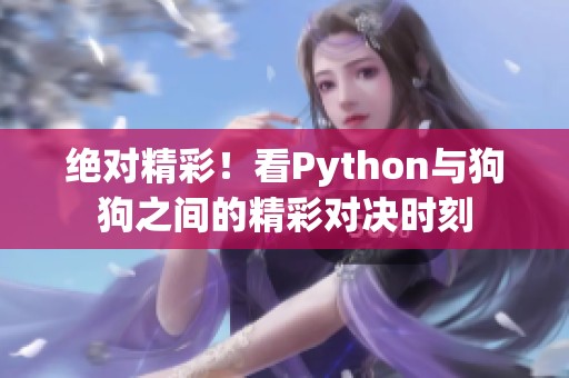 绝对精彩！看Python与狗狗之间的精彩对决时刻