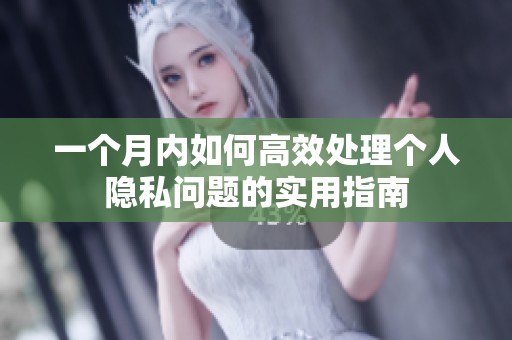 一个月内如何高效处理个人隐私问题的实用指南