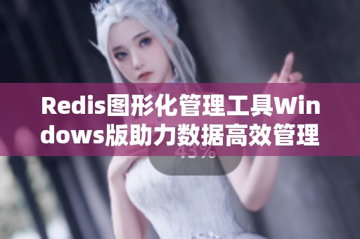 Redis图形化管理工具Windows版助力数据高效管理与操作