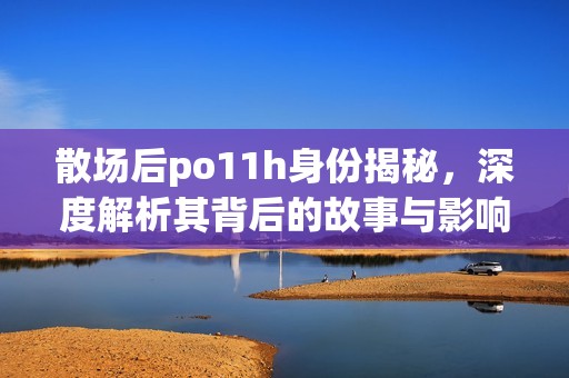 散场后po11h身份揭秘，深度解析其背后的故事与影响