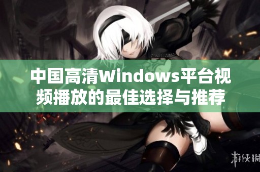 中国高清Windows平台视频播放的最佳选择与推荐