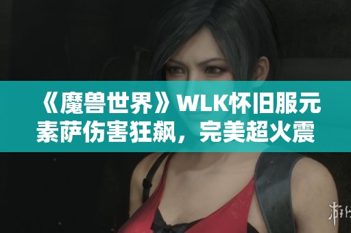 《魔兽世界》WLK怀旧服元素萨伤害狂飙，完美超火震撼来袭