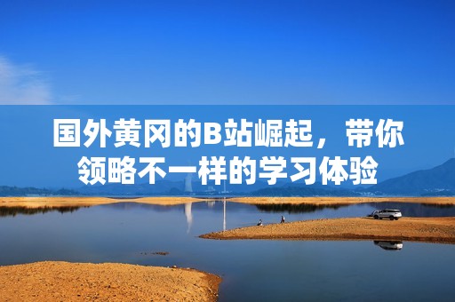 国外黄冈的B站崛起，带你领略不一样的学习体验