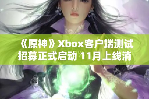 《原神》Xbox客户端测试招募正式启动 11月上线消息曝光