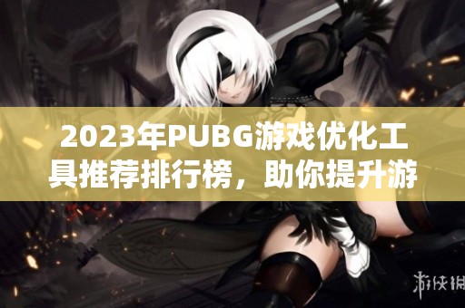 2023年PUBG游戏优化工具推荐排行榜，助你提升游戏体验