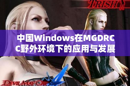 中国Windows在MGDRCC野外环境下的应用与发展探讨